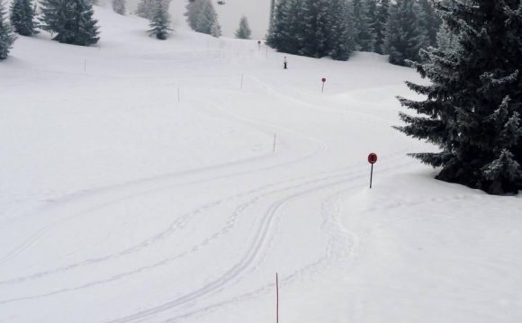 Cross-country