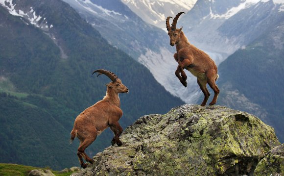 Chamonix, French Alps | by