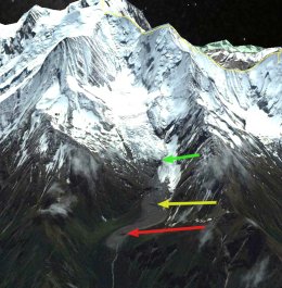 bionnassay overview