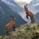 Chamonix, French Alps