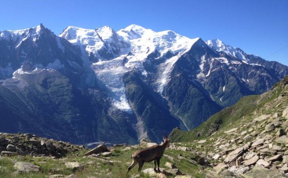 Mont Blanc summer