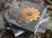 Chamonix guide book