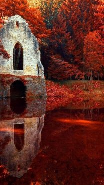 Red Autumn in Chamonix, Rhone Alpes, France