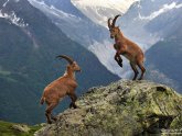 Chamonix, French Alps