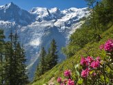 Chamonix-Mont