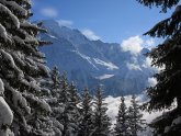 Christmas in Chamonix