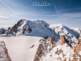 Highest mountain in the Alps