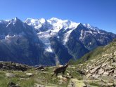 Mont Blanc summer