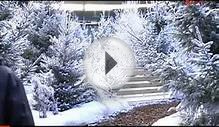 Rêve de neige : Le Stade de France en station de ski !